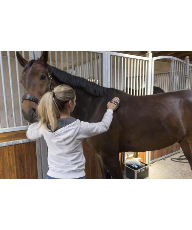 Chevalon Horses Cleaning Set | Flexible Card tsche Striegel & Massage Brush | 2-in-1 Hoof Scraper with Stainless Steel Pick | Essential Horse Cleaning Accessories - Buy Online on GoSupps.com