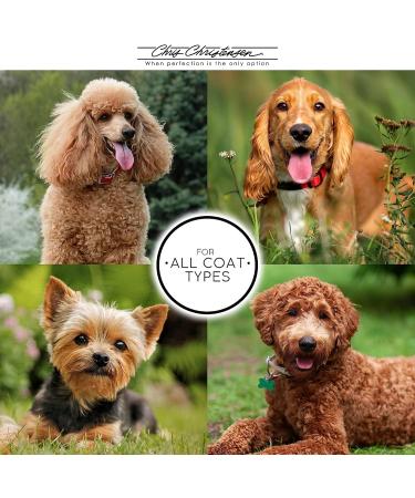 Chris Christensen Ice on Ice Detangler & Finishing Dog Spray - Professional Grooming Results | 16 oz - Buy Online on GoSupps.com