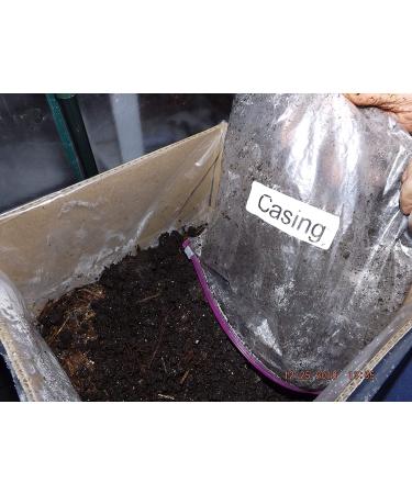 White Button Mushroom Growing Kit - Easy Fresh Shroom Growth - Buy Online on GoSupps.com