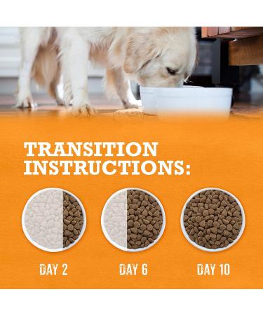 Beyond Grain Free Natural Dry Dog Food Farm-Raised Chicken & Egg - 1.36 kg Bag 1.36 kg (Pack of 1) - Buy Online on GoSupps.com