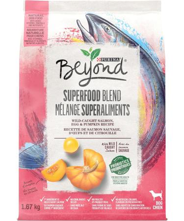Beyond Grain Free Natural Wet Dog Food Ground Entree Variety Pack 3 Flavours - 368 g Can (6 Pack) & Superfood Blend Natural Dry Dog Food Wild Caught Salmon Egg & Pumpkin - 1.67 kg Bag Wet Dog Food + PET_FOOD 00055800330062 - Buy Online on GoSupps.com