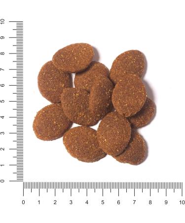 Hunger of the Wolf Dog Food for Large Breeds - 3kg Dry Chicken Formula for Joint Health | Adult Dogs - Buy Online on GoSupps.com