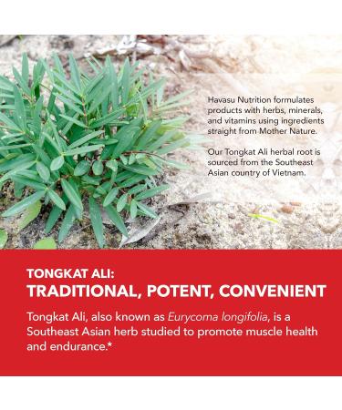 Longjack Tongkat Ali for Men - 200:1 Extract 1 250mg - Boost Male Health Performance & Energy - 60 Capsules - Buy Online on GoSupps.com