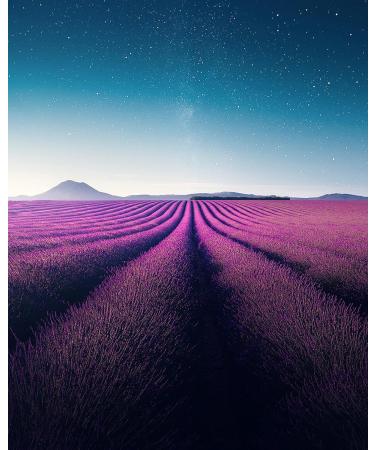 Natural and Organic Radiant Skin Moisturiser with Organic Calendula and Organic Rose - 50ml - by Award Winning AD SKIN SYNERGY - Buy Online on GoSupps.com