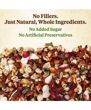 Kaytee Wild Natural Snack - Healthy Treats for Pets - Buy Online on GoSupps.com