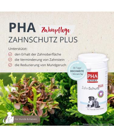 PHA ZahnSchutz Plus: Natural Dental Care Powder for Dogs & Cats - 60g Anti-Tartar Plaque & Bad Breath Solution - Buy Online on GoSupps.com