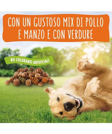 Purina Friskies Balance Dog Food with Chicken and Added Vegetables 6 x 1.5 kg Cans - Buy Online on GoSupps.com