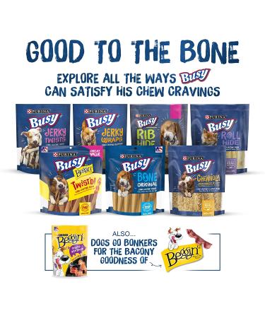 Purina Busy Bone Peanut Butter Flavor Chews for Small/Medium Breed Dogs - 6 ct. Made in USA Facilities - Buy Online on GoSupps.com