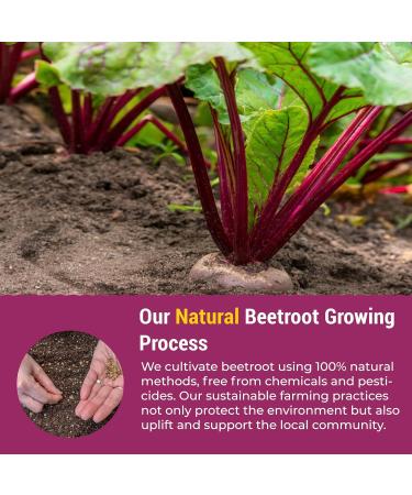 eHerbal 100% Plant Based Pure Freeze Dried Beet Root Powder Packets Beet Juice for High Blood Pressure Nitric Oxide Booster Boost Clean Energy Drink Mix Non-GMO 20 Convenient stickbags - Buy Online on GoSupps.com