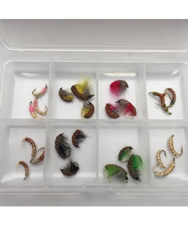 Buy Czech Nymph Fly Fishing Box - 24 Copper Wire Weighted Flies (Sizes 10/14) | Best Quality for International Shipping - Buy Online on GoSupps.com