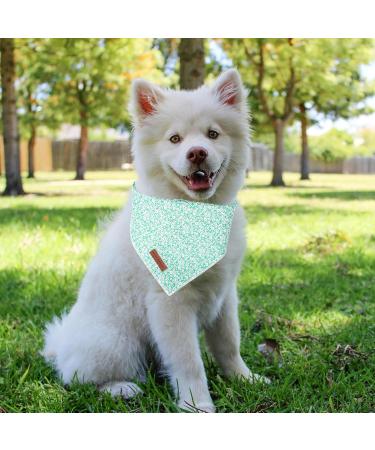Unique Style Paws Summer Dog Triangle Neck Scarf - Green Floral for Small Medium & Large Dogs and Cats - High-Quality Durable Fabric - Buy Online on GoSupps.com