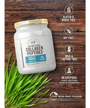 Carlyle Grass Fed Collagen Peptides Powder 20oz | Unflavored | Pasture Raised | Types I & III | 20g of Collagen Per Daily Dose | Non-GMO Gluten Free | by Herbage Farmstead - Buy Online on GoSupps.com