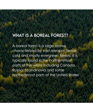 Buy Arancio Moisturizing Face Cream - All-Natural Hydrating Formula with Boreal Bark Extracts for Wrinkle Reduction & Dry Skin Relief - Buy Online on GoSupps.com