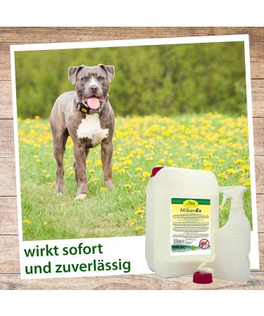 Buy cdVet for Animals 5L Canister with Tap & Bottle Premium Animal Care | Fast International Shipping - Buy Online on GoSupps.com