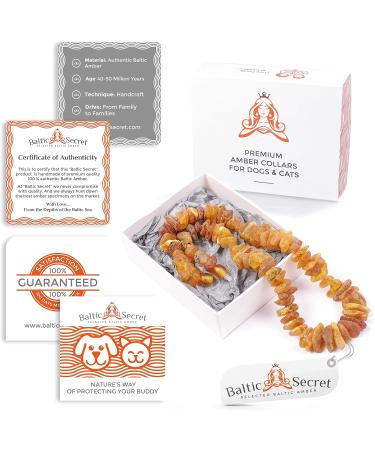 Amber Dog Neck Chain for Tick & Flea Protection | Baltic Amber Raw 30 cm Leather Strap - Buy Online on GoSupps.com