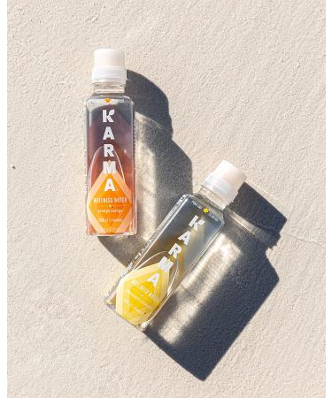 Karma Wellness Pineapple Coconut Flavored Vitamin Water - 216 Fl Oz (Pack of 12) | Green Tea, Magnesium, Antioxidants | Low Calorie Hydration - Buy Online on GoSupps.com