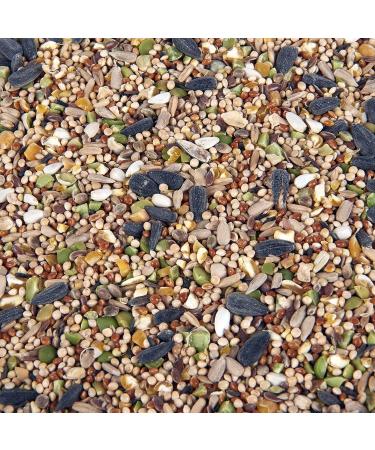 Premium Wheat Free Wild Bird Food 3L Tub - Buy Online on GoSupps.com