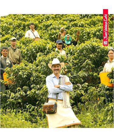 Juan Valdez Volcan Premium Colombian Coffee | Whole Bean | 454g - Buy Online on GoSupps.com