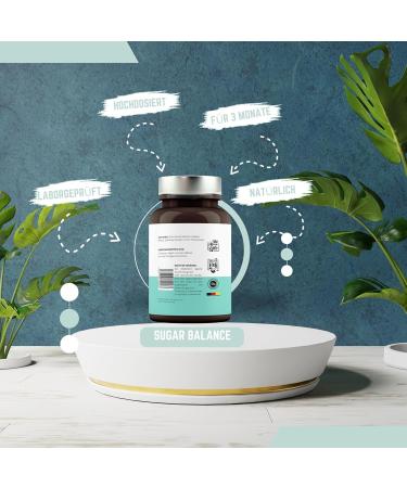 Premium Berber Capsules - High Dose with Cinnamon Extract & Chromium for Blood Sugar Support & Metabolism Boost | Vitamin Fox - Buy Online on GoSupps.com
