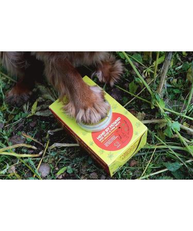 HOWND Skin Nose & Paw Balm with Hemp Seed Oil & Sun Protection - Vegan, Unscented, Fast-Absorbing - 50g - Buy Online on GoSupps.com