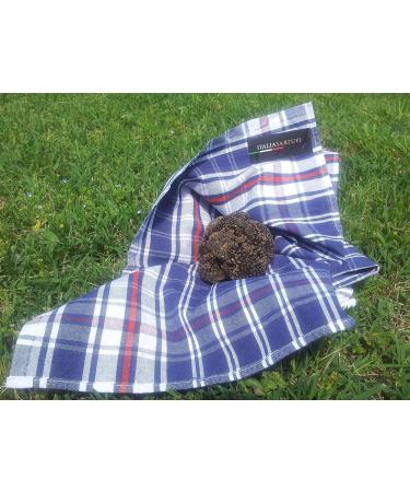 Italia Tartufi Tagliatelle Pasta with White Truffles 1.33 LB - Authentic Italian Egg Nest Pasta - Buy Online on GoSupps.com