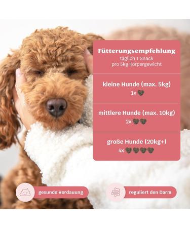 Mammaly Lucky Belly Allergy Fit - Grain-Free Probiotics Digestive Snacks for Dogs (90 Pieces) - Chicken-Free Intestinal Health Treats - Buy Online on GoSupps.com