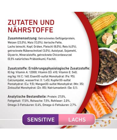 PURINA ONE Mini/Small Delicate Dry Food for Small Dogs Rich in Salmon and Rice 8 x 800 g Cans - Buy Online on GoSupps.com