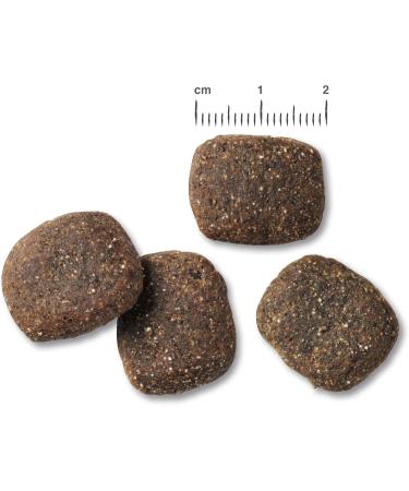 Belcando Adult Active Dog Food | Premium Dry Food for Active & Sports Dogs | Sole Feed for Adults (1 kg) - International Shipping - Buy Online on GoSupps.com