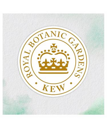 Hydrate Coconut Milk Mask | Herbal Essences | International Shipping Available - Buy Online on GoSupps.com