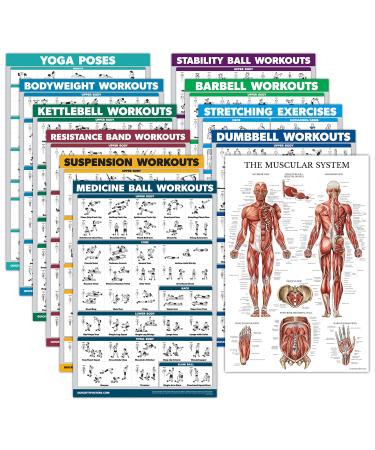 Palace Learning Exercise Poster Set: Dumbbell Suspension Ballpool Resistance Bands Stretching Bodyweight Langlantel Yoga Gymnastics Ball Muscles Medicine Ball 11 Laminated "X 27" - Buy Online on GoSupps.com