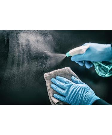 BeeSure BE1118 Nitrile Powder Free Exam Gloves Large (Pack of 100) - 100 Count - Buy Online on GoSupps.com