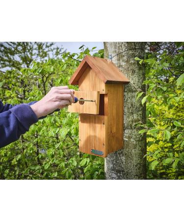 Green Feathers Large Wooden Deluxe Bird Box - Waterproof & Ventilated - 32mm Hole - Ideal for Variety of Birds - Easy Installation - Buy Online on GoSupps.com
