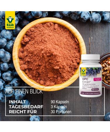 Raab Vitalfood OPC Extract Capsules - 90 Vegan & Gluten-Free Grape Seed Oligomeric Proanthocyanidins for Optimal Health - Buy Online on GoSupps.com