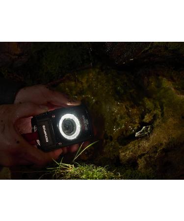 OLYMPUS LED Light Guide LG-1 - Buy Online on GoSupps.com