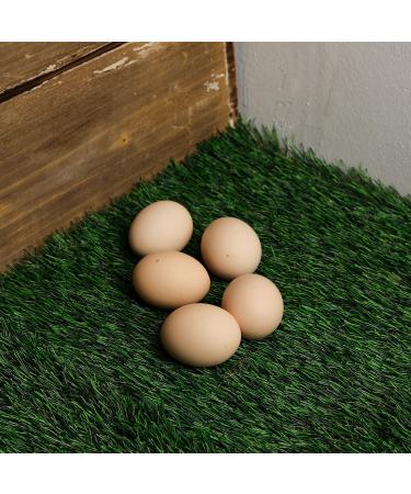 MEEXPAWS Chicken Nesting Box Pads 12x12 - Artificial Grass, Sturdy & Washable - 2 Count - Buy Online on GoSupps.com