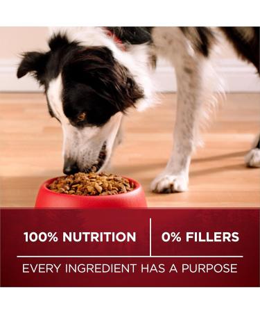 Purina ONE True Instinct High Protein Dry Dog Food Beef & Bison - 6.8 kg Bag 6.8 kg (Pack of 1) - Buy Online on GoSupps.com