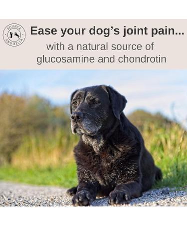 Bounce and Bella Pig Ears Strips for Dogs Natural Dog Chews Healthy Treats Help Clean Dogs Teeth 150 g (Pack of 1) - Buy Online on GoSupps.com