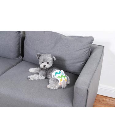 Hisprout Reusable Female Dog Diapers | Washable Durable Pants in Colorful Union | Size MM - Shop Now! - Buy Online on GoSupps.com