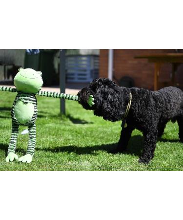 Rosewood FROGGY LONG LEGS Green Froggy Long Legs One Size (Pack of 1) - Buy Online on GoSupps.com