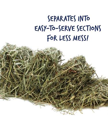 Vitakraft Timothy Hay for Guinea Pigs, Rabbits, Chinchillas - 3.5 lb (Pack of 1) - Buy Online on GoSupps.com