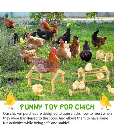 Ensayeer Bamboo Chicken Perch with Mirror | Strong Roosting Bar for Coop | Training Perch for Large Birds | Easy to Assemble and Clean | Fun Toys for Chicken - Buy Online on GoSupps.com