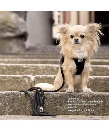 Stretch Comfort Leash Moss L | Durable Adjustable & Stylish Pet Leash for International Shipping - Buy Online on GoSupps.com