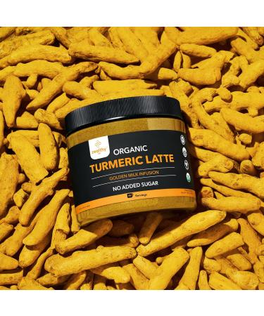 Organic Turmeric Latte Powder USDA Certified No Added Sugar Turmeric Supplement with Ceylon Cinnamon Zealthy Life 45 Servings - Buy Online on GoSupps.com