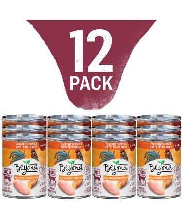 Purina Beyond Grain Free Wet Dog Food in Gravy - Chicken & Sweet Potato, 12.5 oz Cans (12-Pack) - Buy Online on GoSupps.com