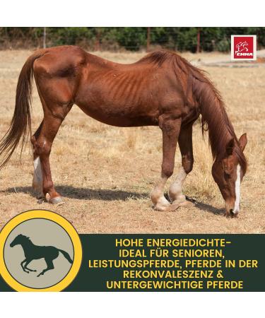 Rice Germ Oil Flax Oil 1L 30 ml for Horses Plus Vitamin E + Amino Acids Horse + Complex - Bodybuilding Horse Without Selenium Lysine Replenishing Food Supplement Horse Food - Buy Online on GoSupps.com