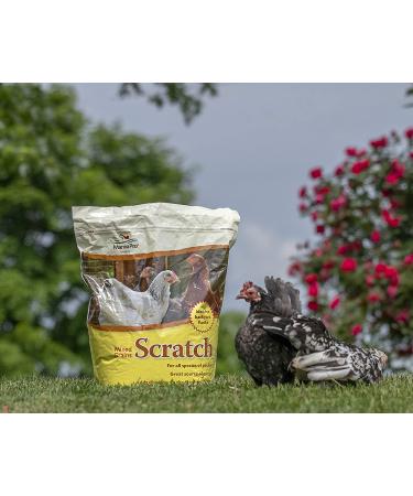 Buy Manna Pro Ultimate Scratch Chicken Feed - Nutrient Rich Treats, 10 LB - Buy Online on GoSupps.com