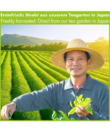 Premium Organic Japanese Matcha Powder Tea - 200g | Authentic Matcha for Ultimate Taste & Health - Buy Online on GoSupps.com