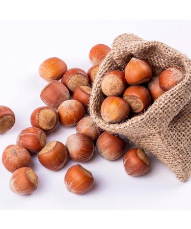Yupik Hazelnuts In Shell 1 kg Gluten-Free Kosher Vegan Filberts Natural Raw Nuts Whole Nuts Unsalted Unroasted Oil-Free Nutritious Snack Once Shelled Hazelnuts 1 kg (Pack of 1) - Buy Online on GoSupps.com