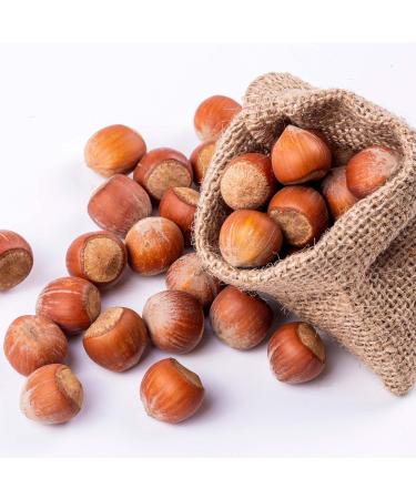 Yupik Hazelnuts In Shell (filberts) 1kg 6 Count Hazelnuts 6 kg - Buy Online on GoSupps.com