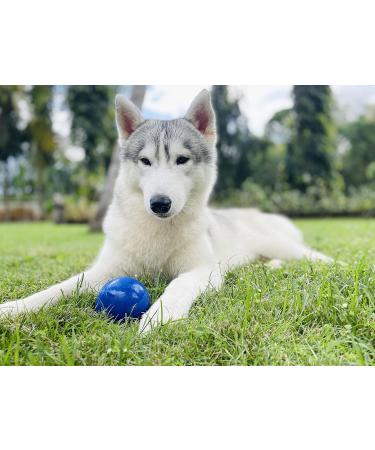 Tuff Pupper SuperChewy Robust Dog Ball Toy - Durable Natural Rubber | Replacement Guarantee | Large 7.5 cm - Perfect for Aggressive Chewers - Buy Online on GoSupps.com